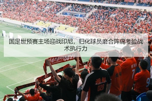 国足世预赛主场迎战印尼，归化球员磨合阵痛考验战术执行力