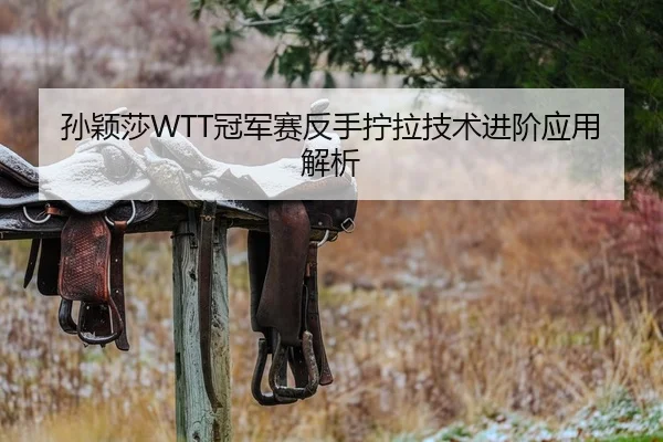 孙颖莎WTT冠军赛反手拧拉技术进阶应用解析