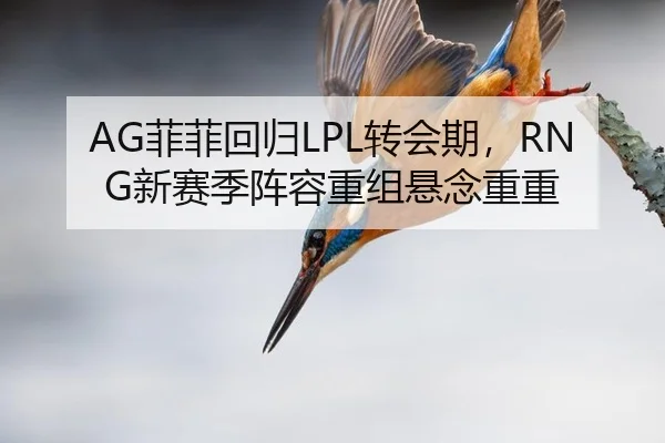 fei-fei-hui-gui-zhuan-hui-qi-xin-sai-ji-zhen-rong-chong-zu-xuan-nian-chong-chong-2-838.jpg