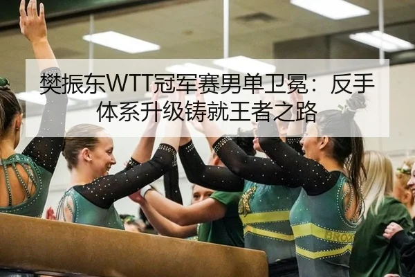 樊振东WTT冠军赛男单卫冕：反手体系升级铸就王者之路