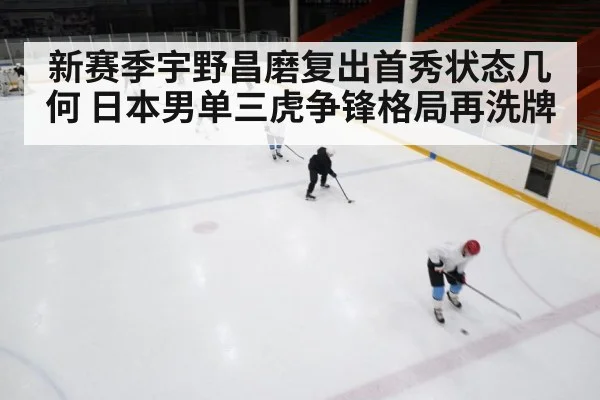 ice rink competition